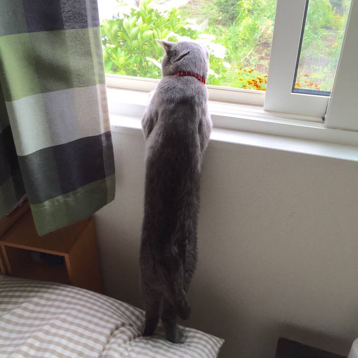 B16bbfb3 7158 4498 9b01 1dec33fa10cf