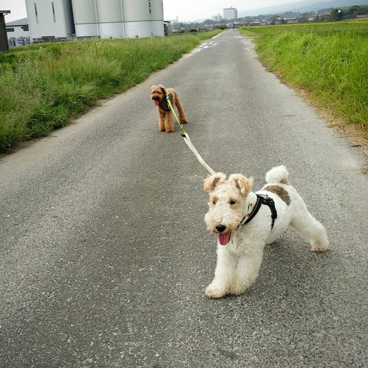 B16bf04f c286 4816 ac30 9b235df1fa82