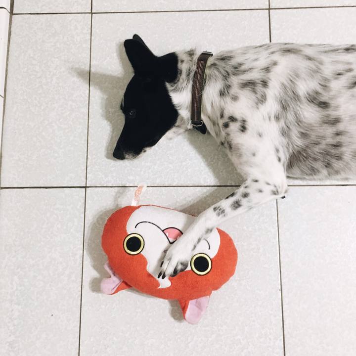 B16c513b ef39 49b7 b48a e14599c89224