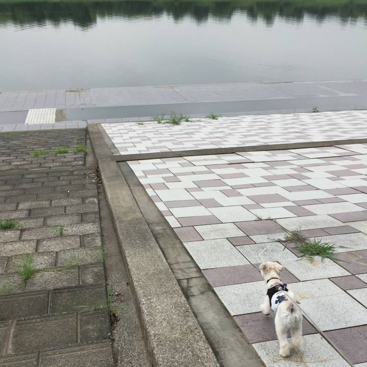 B16cc1f4 ea5d 4b22 a620 0b2de69d5fa1