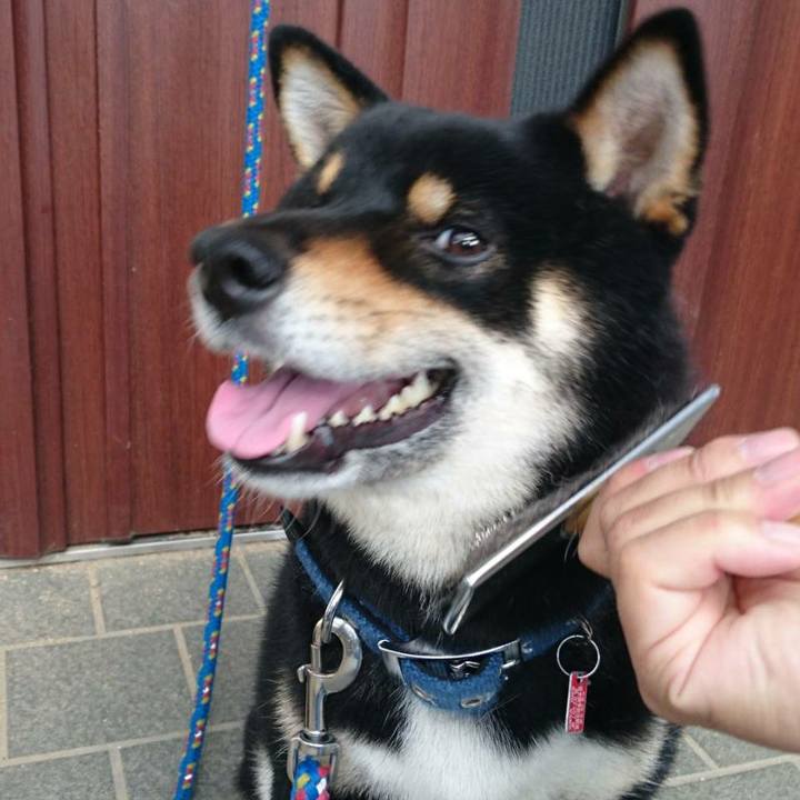 B16cc460 1405 4c2e a2ad 949db1160bce