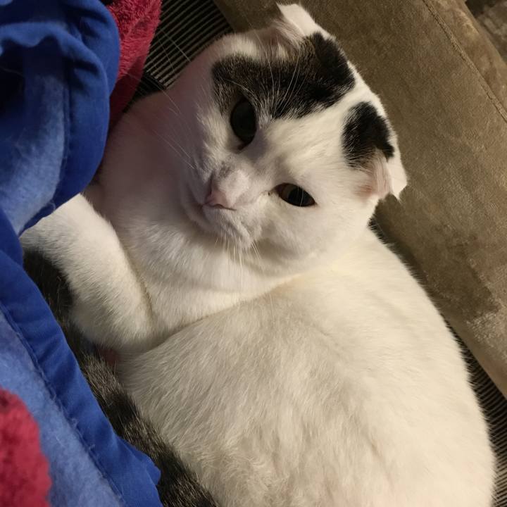 B16d2951 1628 482b 8255 179ef55bcce7