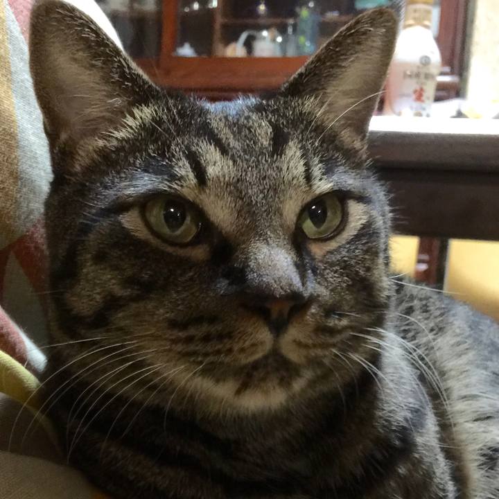 B16d9b50 4aab 4262 8bb9 2c026e8c4d14