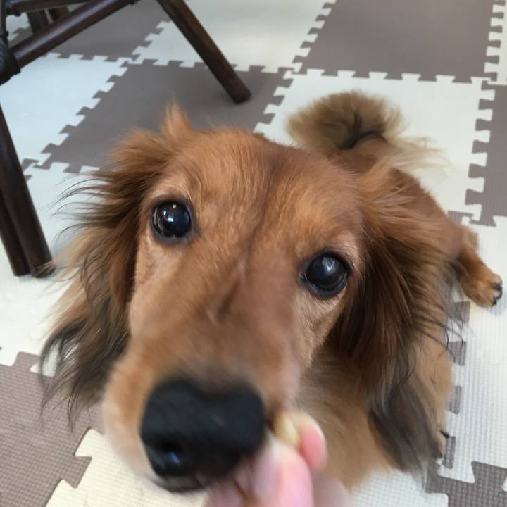 B16dae96 9632 4344 a4c8 32a8061894e1