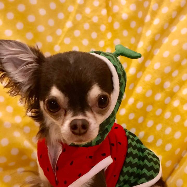 B16df513 2987 45fc a46c f7e378d51228