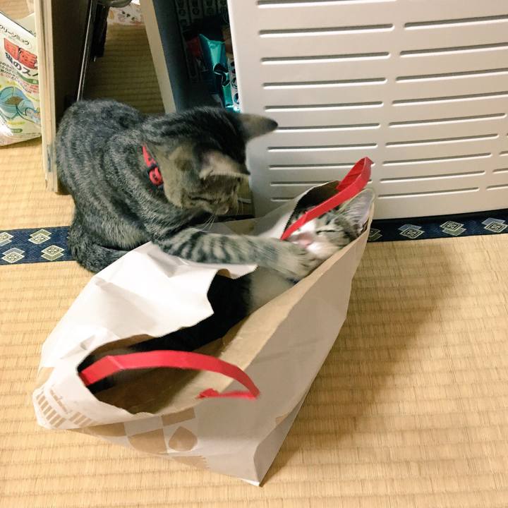 B16ee615 ee5f 46d1 b6f8 fc15141344f1