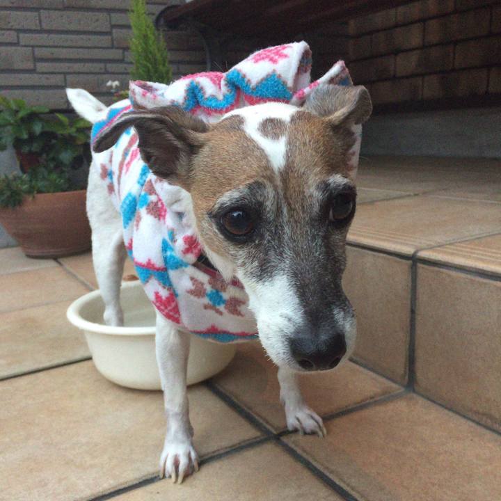 B16f34d0 4a60 4aa8 aba4 9b03529e4d78