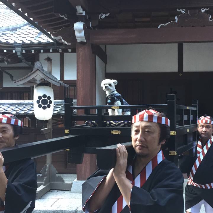 B170e69f 53b5 41b6 8863 c6c1ab674655