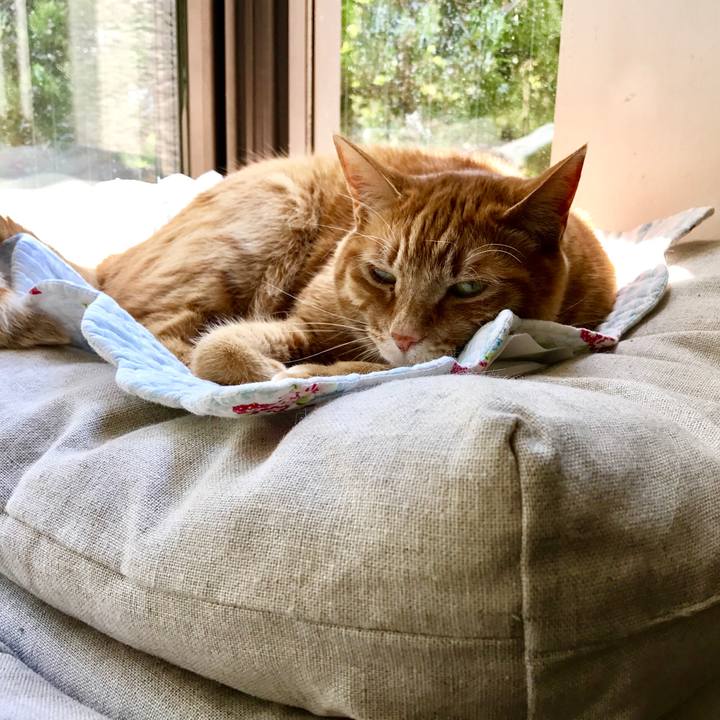 B1712a2f 57dd 45e7 8e04 90a819710a6f