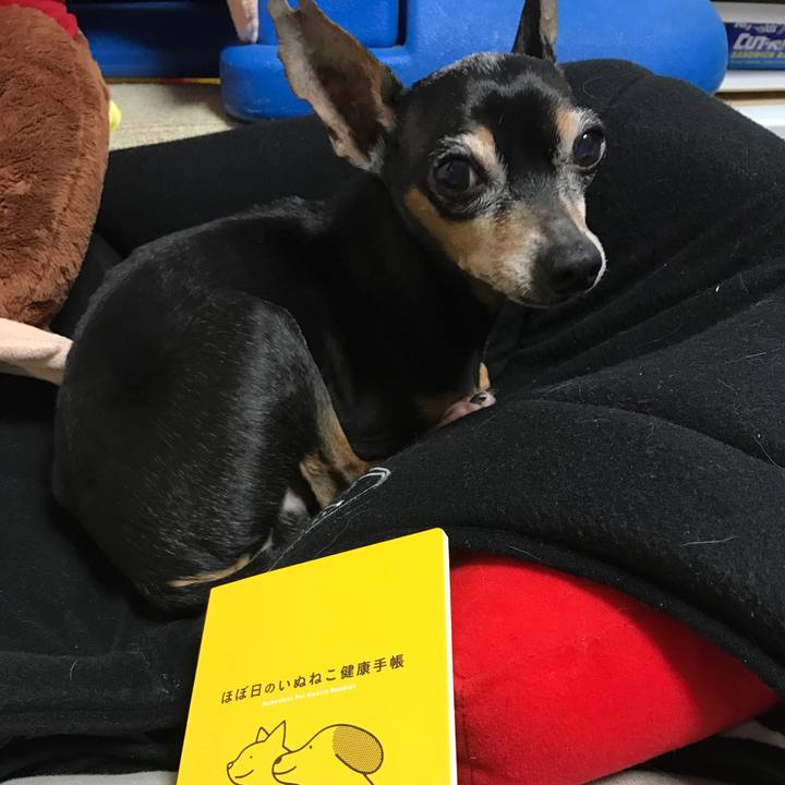 B1712ed4 e196 49ef 8102 85a9e656fa97