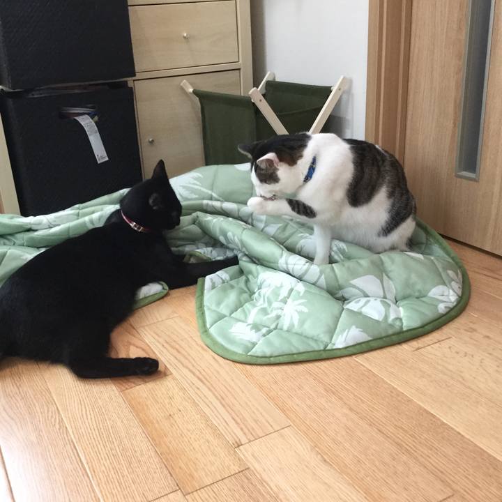 B1713678 3118 42b8 8cf2 b5b72b94f7c6