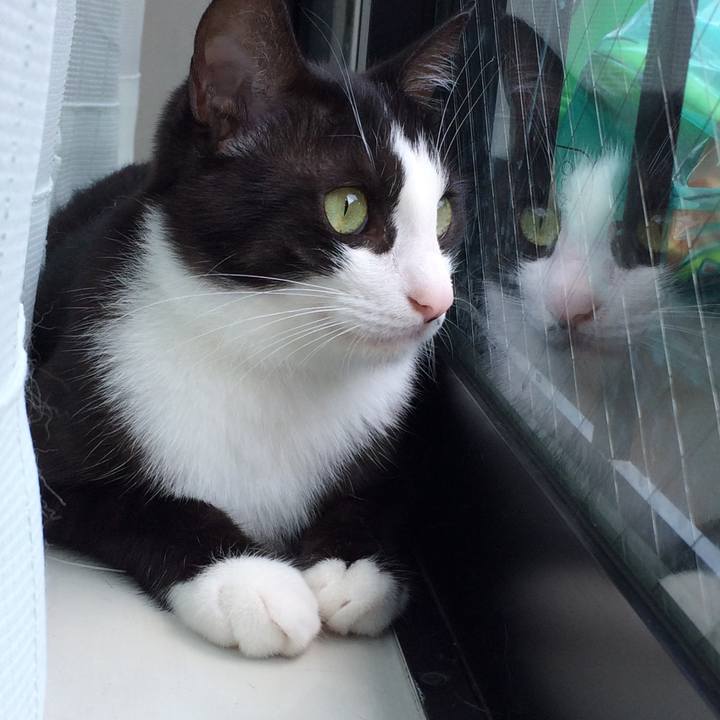 B17142da dfdb 4c2b 81cc 5662acf01507