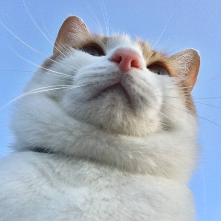 B171d006 eac9 430f 85b6 081e5b51894c