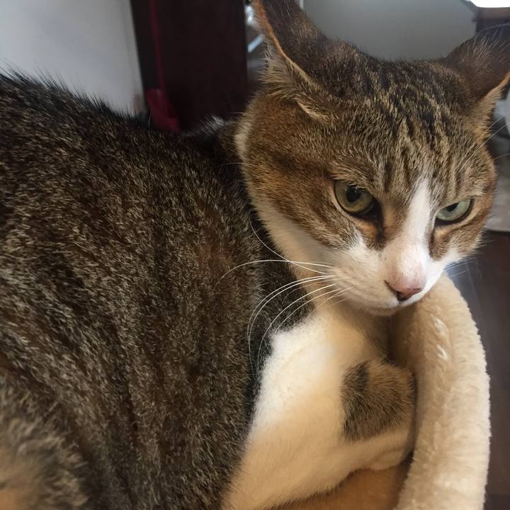 B172cfe1 769b 400e b66f 07d736e9bf74