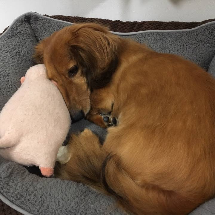 B172d00c a1ad 43dd bd3e f440c531850a