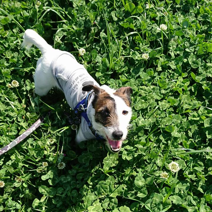 B1744ac7 62c0 4a76 8250 af5e06323618