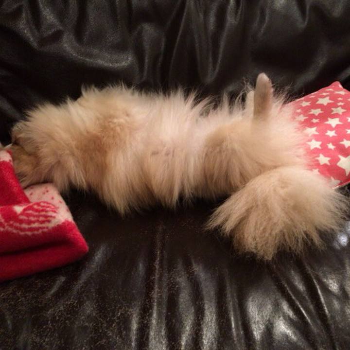 B1744ec5 9f78 4d53 ba3a 69347ee22428