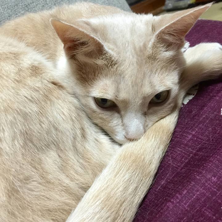 B174b90d 6ed1 4ba5 88ea 7fc3007bc72b