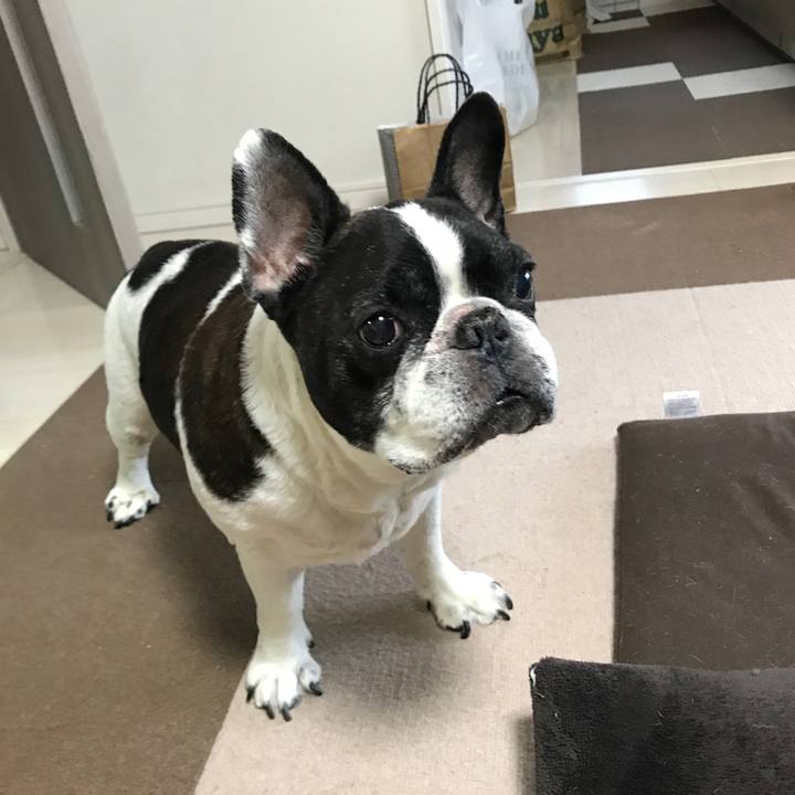 B1757bba 209c 4132 82cb 50163cf39594