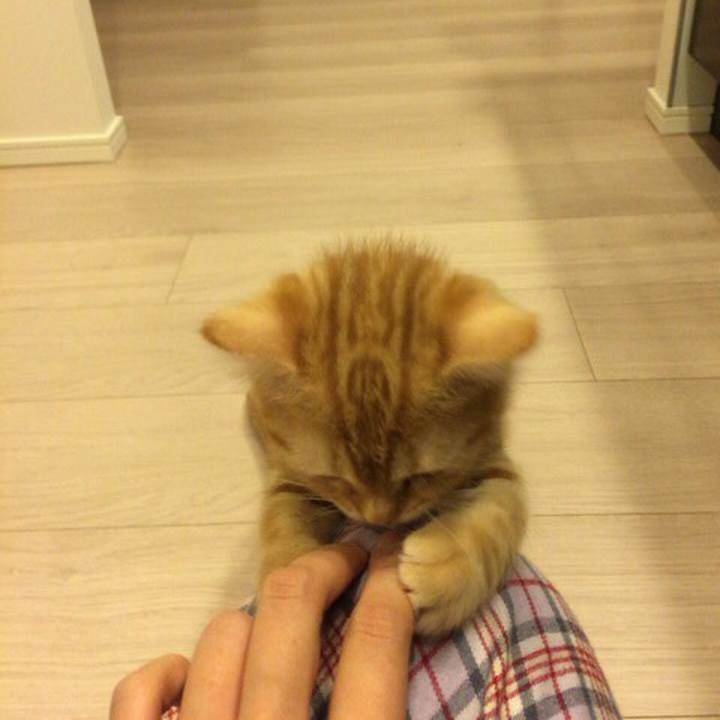 B175b988 fbb6 4593 af5c 855b691b38f7