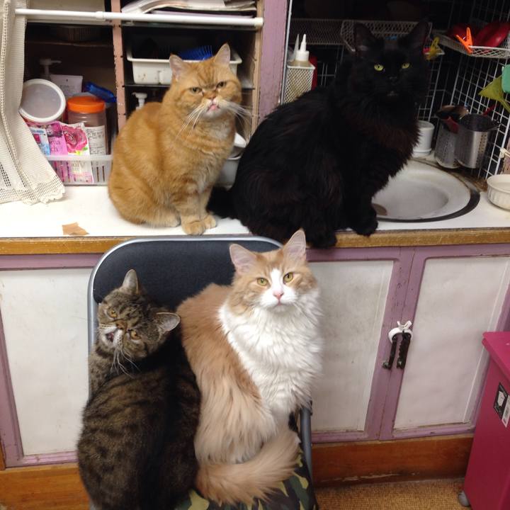 B1760a0a ba33 4d6f 96c1 fe738aae87df