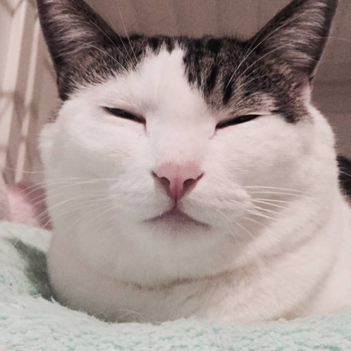 B1762b4a bf12 4e89 b69f b9b4e4b6939f