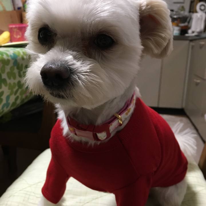 B176fbb1 cd73 40fa 9e18 dbf921195506