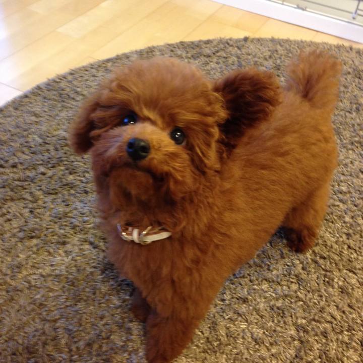 B177fa5a 7a54 4b0e a0e2 37296fa71e71