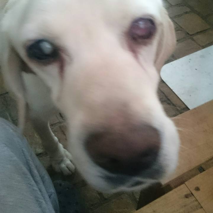 B1780748 777d 498a 8b95 37642585f748