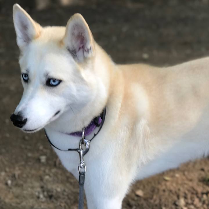 B1780cf6 5965 4d1b 94f2 a5c5c980078d