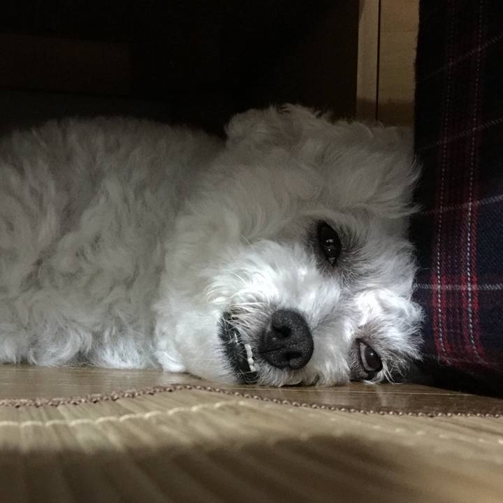 B1784bab 0611 45f4 828e 8efe207b88f9