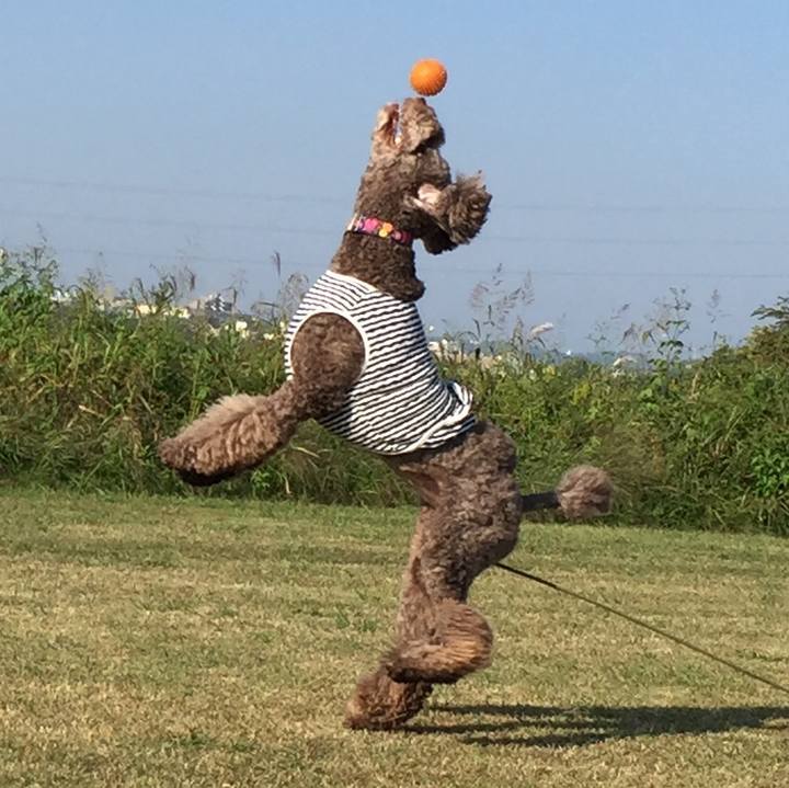 B1788baf 3066 4c41 a729 feed7c213cd0