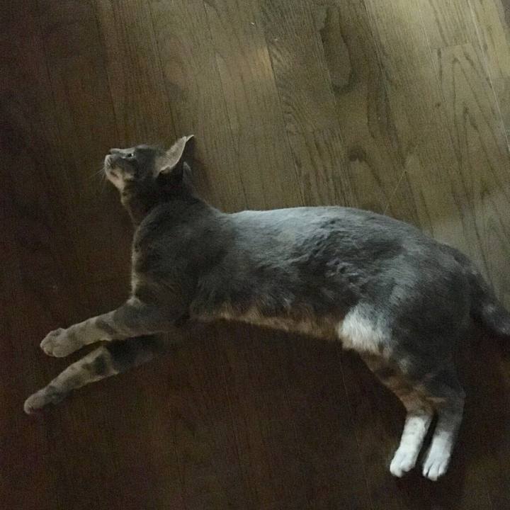 B1789e93 e58d 467b 886a 843ddcdd857c