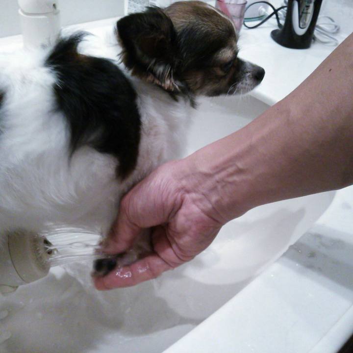 B179983f f8db 41c5 b8a9 72c3217551a4