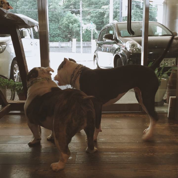 B1799b3c d96b 41c3 8ce7 5a25178123a9