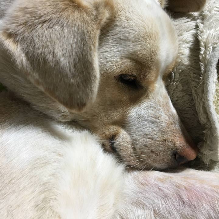 B17a4a18 4dbd 44d1 ba0a 4ccbf3d66117