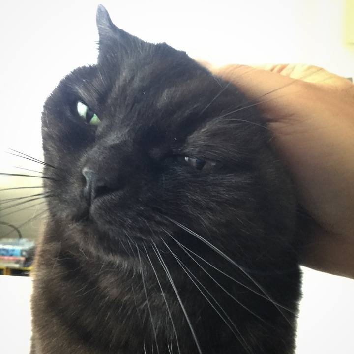 B17a7f0c 76f2 4e87 bc8b 0336dc99349e