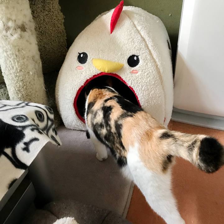 B17a9e84 c7d7 4a8c 8315 b1d7263e719c