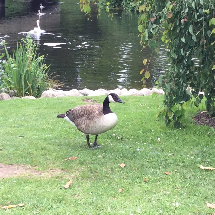 B17aa91a 34f3 47e1 ac7b fe0518724bd3