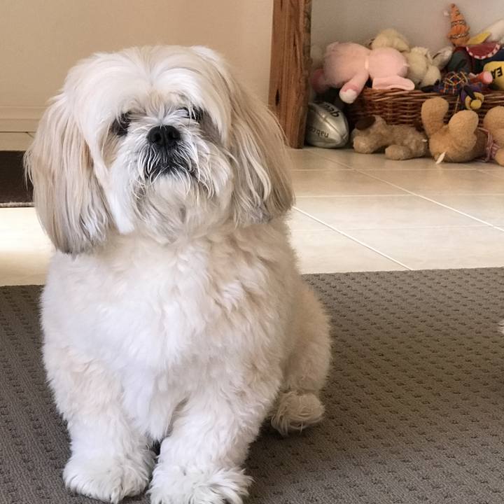 B17adc8d d793 4ca8 8794 622ef872e447