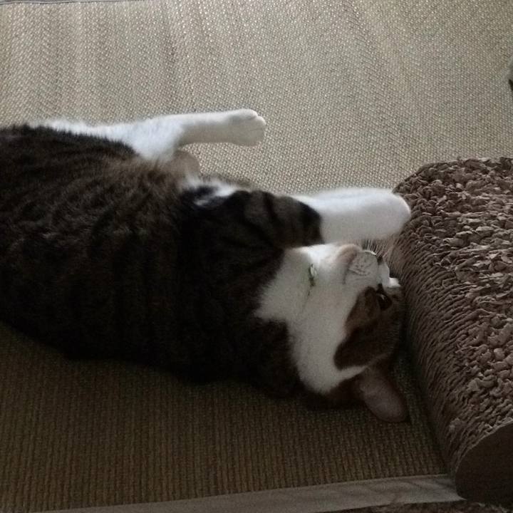 B17b60d3 6b3d 44b8 a6cc 48af5c7ca2c6