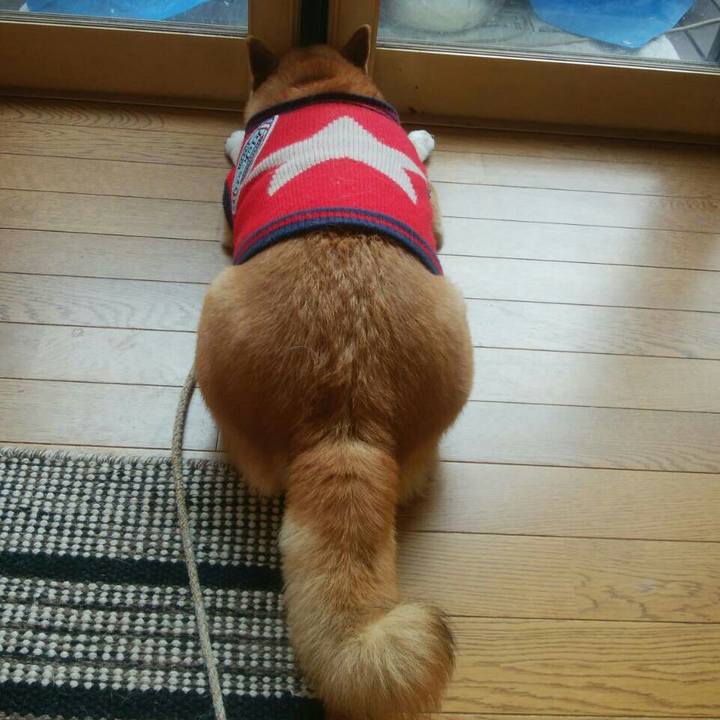 B17b9f47 47dc 41f5 abc4 da5ad393d9df