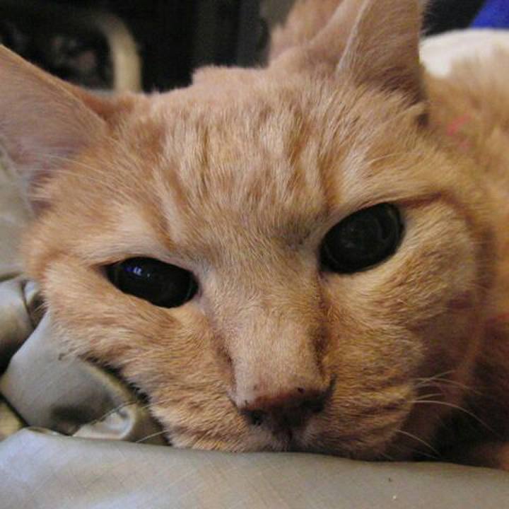 B17c20da 3bad 468a a9c6 6d683469d718