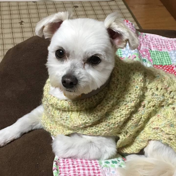 B17c27bf e337 4e3f 8673 31fa93299da8