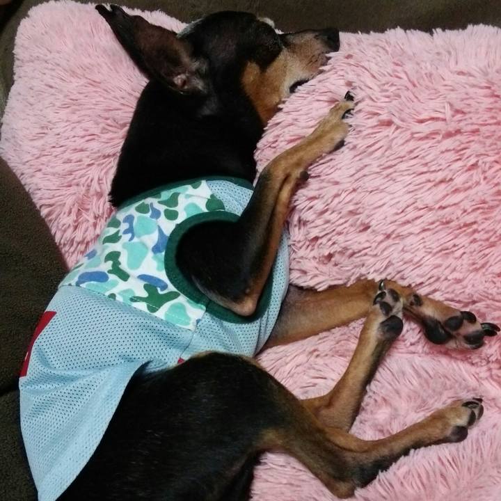 B17c9e09 65cf 4f69 8b24 10fbeea205da