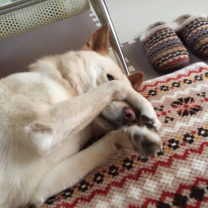 B17d74ae f736 4c71 8f2d 37f265a9ae17