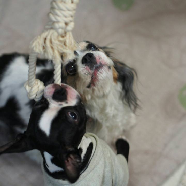 B17db4ae 4ef4 49a7 b0c7 de3d96d21d9f