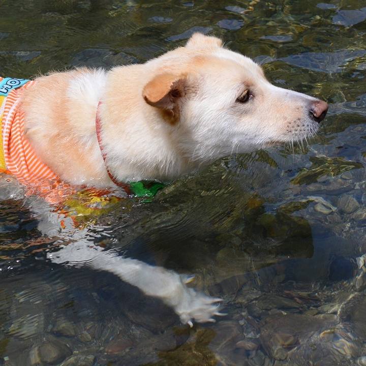 B17ec7c9 050b 46d3 a105 528e6bb1c60f