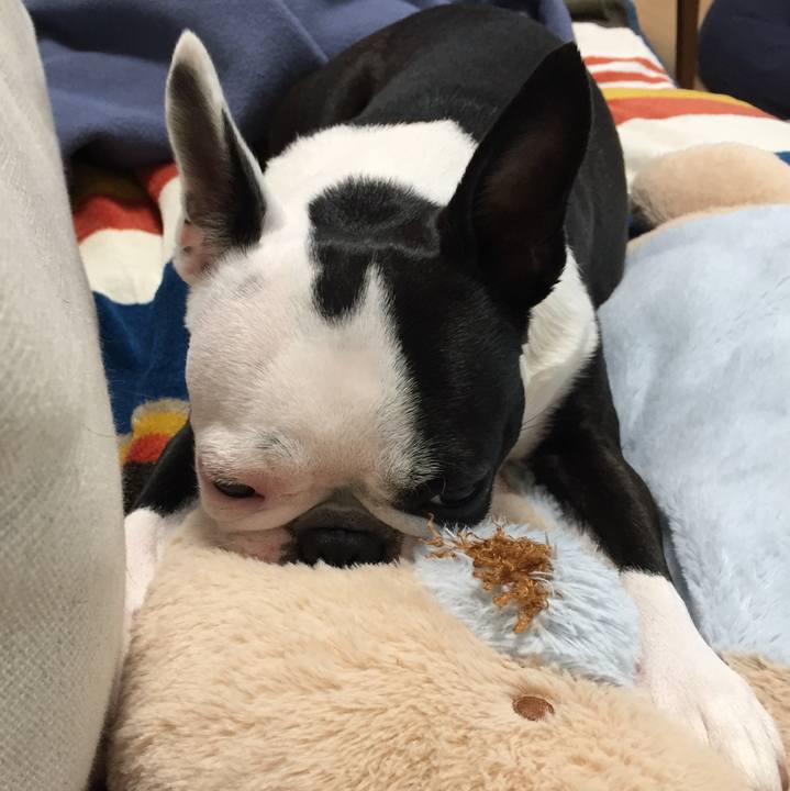 B17f46ad 1598 44bd b229 cedf6321a99d