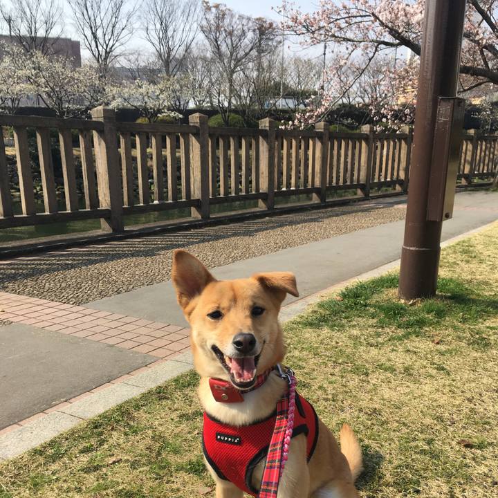 B17fb7da 8cfc 4f57 94e1 9287c5505065